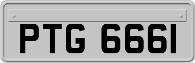 PTG6661