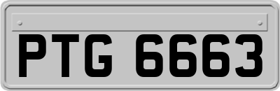 PTG6663