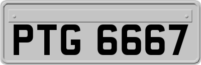PTG6667