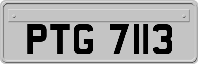 PTG7113