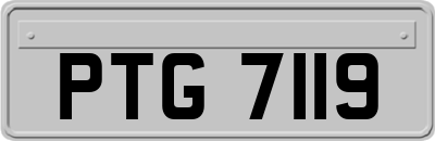 PTG7119