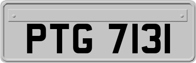 PTG7131