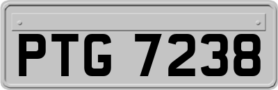 PTG7238