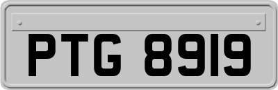 PTG8919