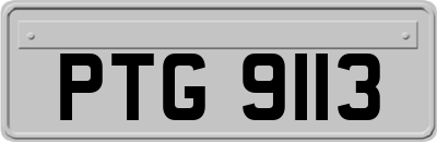 PTG9113