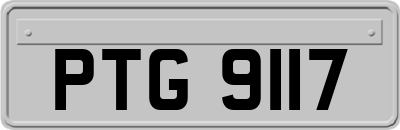 PTG9117
