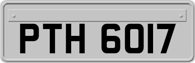 PTH6017