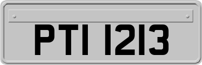 PTI1213
