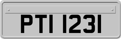 PTI1231