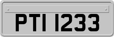 PTI1233