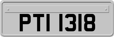 PTI1318
