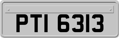 PTI6313