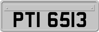 PTI6513