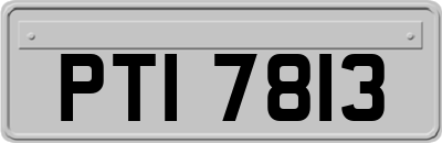PTI7813