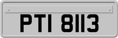 PTI8113