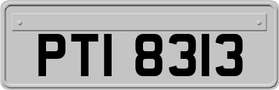 PTI8313