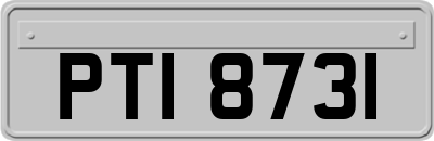 PTI8731