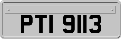 PTI9113