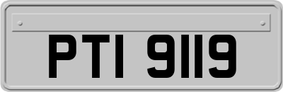 PTI9119