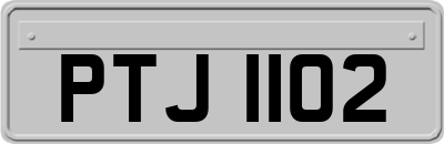 PTJ1102