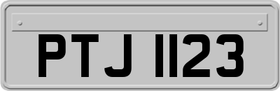 PTJ1123