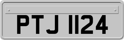 PTJ1124