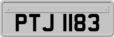 PTJ1183