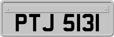 PTJ5131