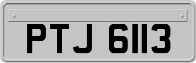 PTJ6113