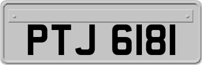 PTJ6181