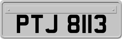 PTJ8113