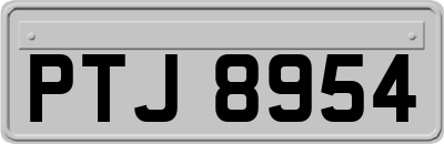 PTJ8954