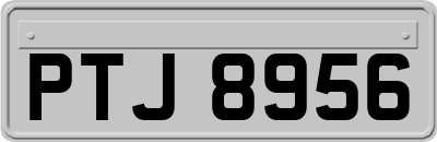 PTJ8956
