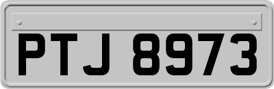 PTJ8973