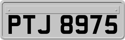 PTJ8975