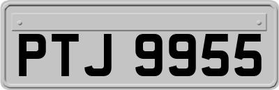 PTJ9955