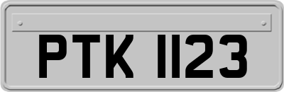PTK1123