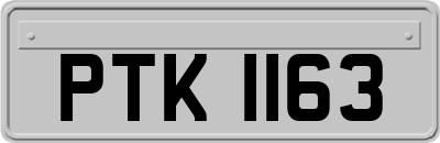 PTK1163