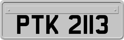PTK2113