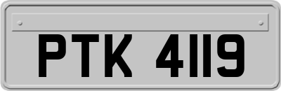 PTK4119