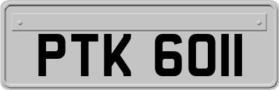 PTK6011