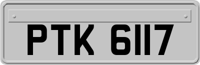 PTK6117