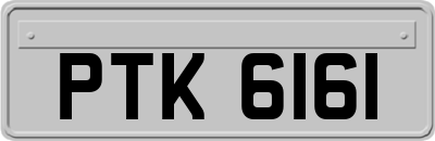 PTK6161