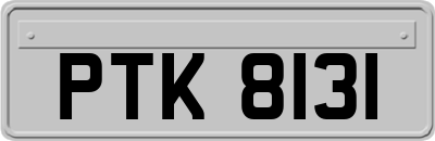 PTK8131