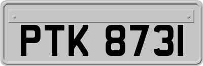 PTK8731