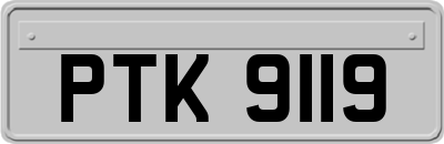 PTK9119