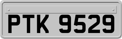 PTK9529