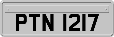 PTN1217