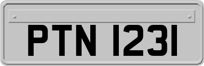 PTN1231
