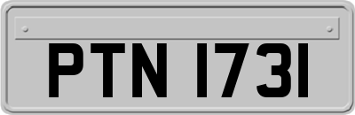 PTN1731